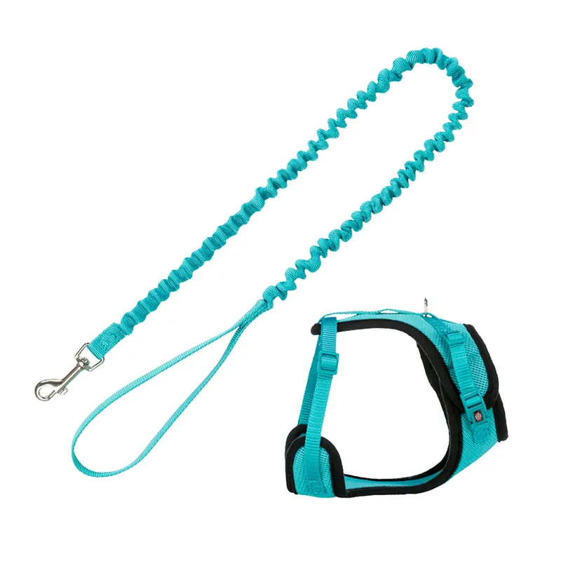 Premiumkvalitet - Trixie Mesh Y-sele med elastiskt koppel – Turkos