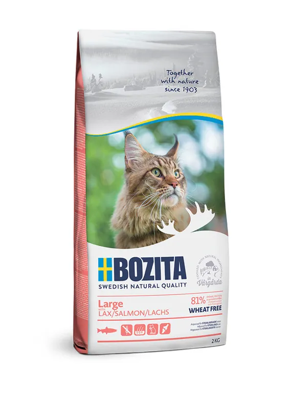 Large Cat Wheat Free Salmon Kattfoder – 10 kg | Smidig beställning