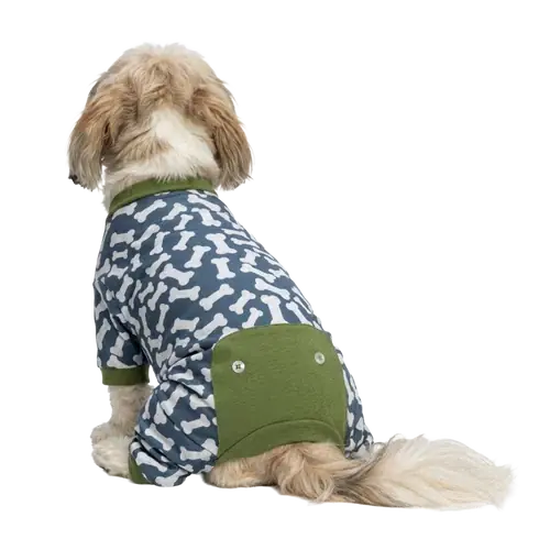 Expressfrakt - RAINING BONES DOG PAJAMA