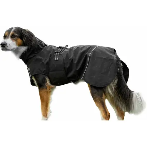 Finns tillgänglig - Regntäcke hund