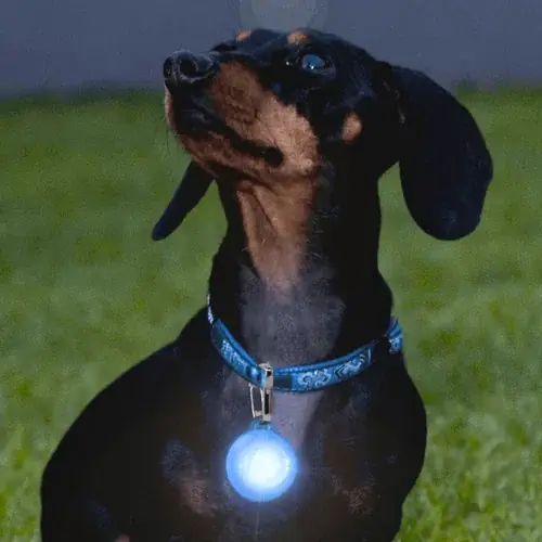 Väl omtyckt | Rogz RogLite Safety Light Tag