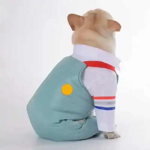 Bara idag - Salopette per Cani ”Skypass” con Bretelle Elastiche e Parte Imbottita
