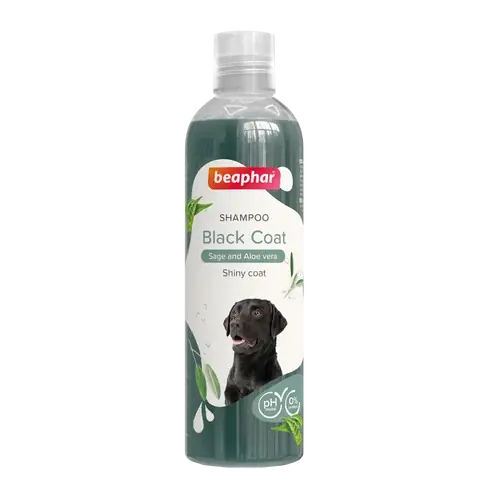 Schampo Svart – 250 ML | Kundernas favorit