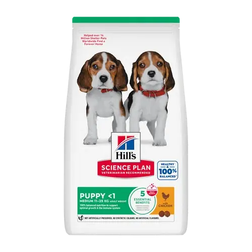 Efterfrågad | Science Plan Puppy Medium Chicken – 2.5 KG