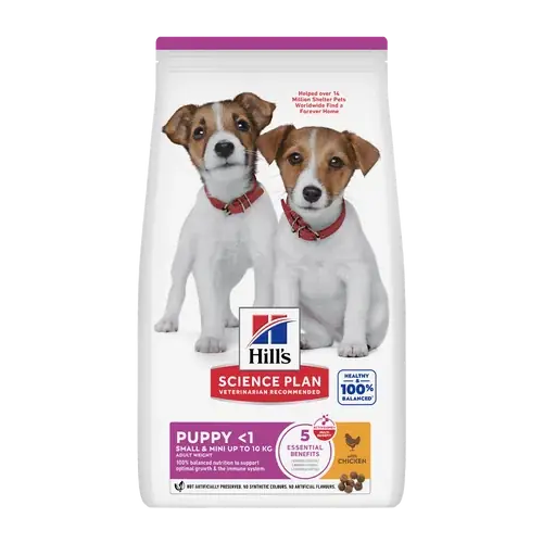 Skaffa nu | Science Plan Puppy Small&mini Chicken – 1.5 KG