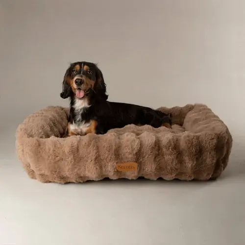 Scruffs Alpine Box Bed - Ta chansen