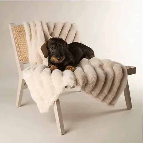 Snart slut - Scruffs Aspen Pet Blanket