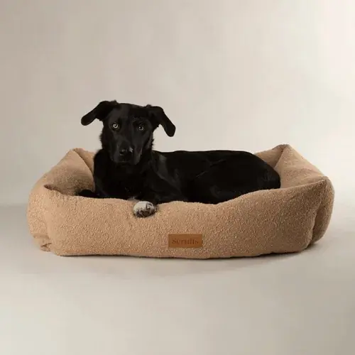 Nyhet i webbutiken - Scruffs Boucle Box Bed