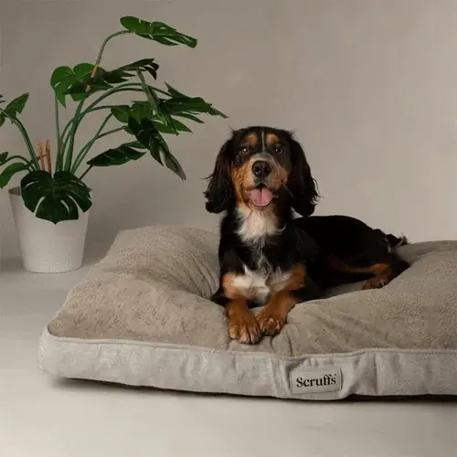 Scruffs Harvard Memory Foam Mattress | Säker betalning