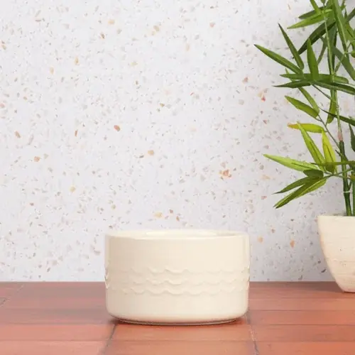 Rekommenderas - Scruffs Icon Cream Water Bowl 15cm