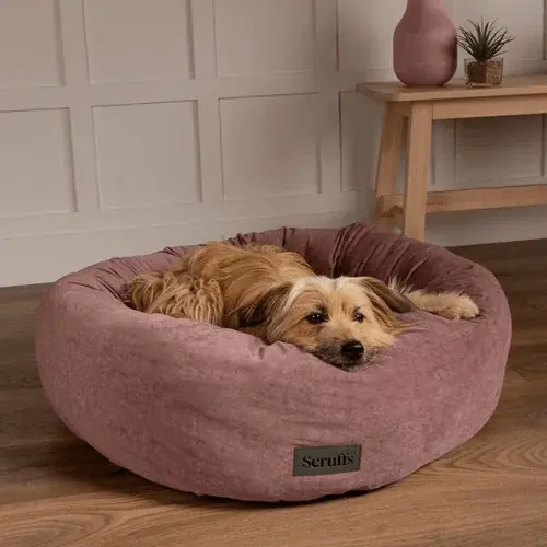 Outlet | Scruffs Oslo Bed