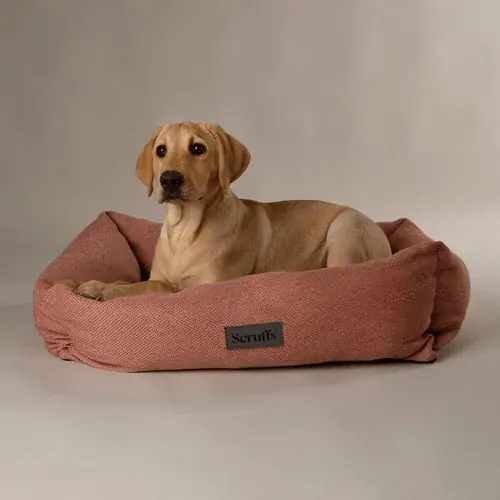 Scruffs Seattle Box Bed | Riktigt fynd