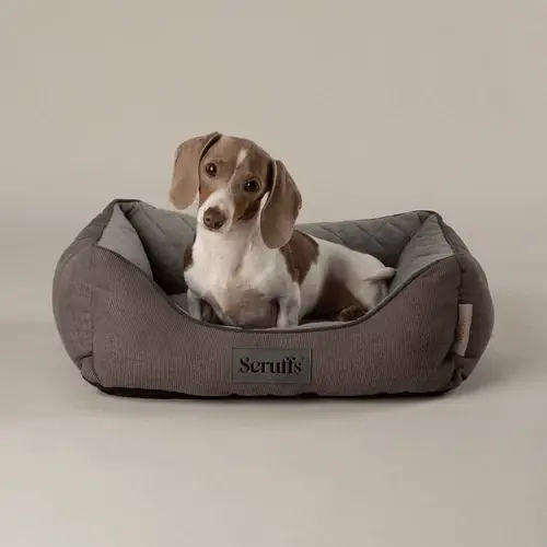 Scruffs Thermal Dog Bed - Professionell kvalitet