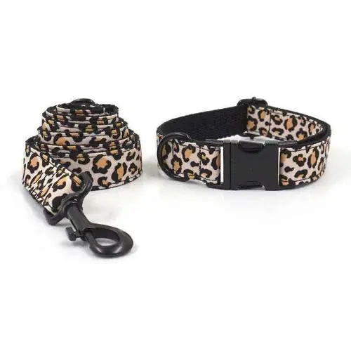 Superpris - Set Collare e Guinzaglio Leopardato – Modello ”Wild Style”