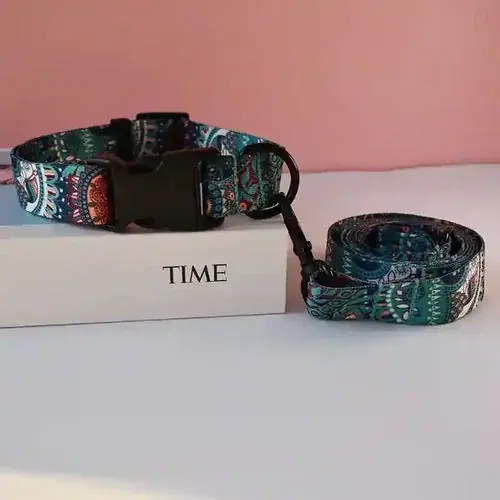 Enkel retur | Set collare e guinzaglio per cani con anello ”Time”
