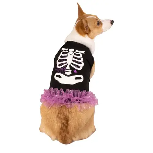 Precis inkommet | Skeleton Dog Halloween Dress