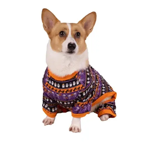 Prissänkt | Skeleton Dog Halloween Pajamas