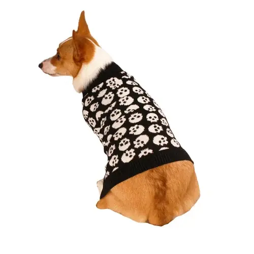Toppkvalitet | Skeleton Dog Halloween Sweater