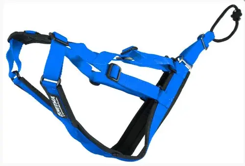 Sled Dog X-Back - Precis tillagt
