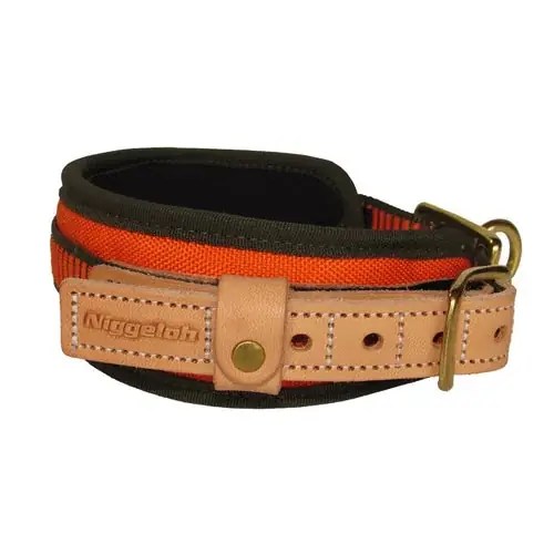 Spårhalsband - Köp online