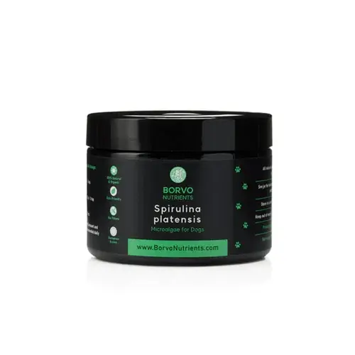 Spirulina platensis for Dogs – Borvo Nutrients - Rea