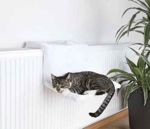 Trixie Radiatorhængekøje de luxe | Prisnedsättning