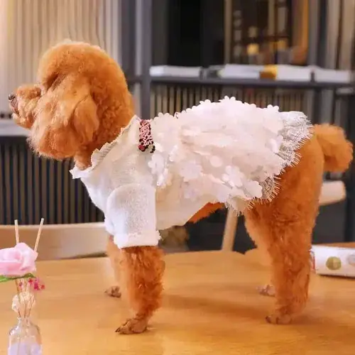 Skynda dig | Vestito per Cani da Cerimonia Modello ”Daisy”