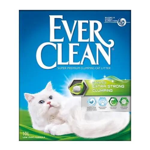 Everclean Extra Strong Scented – 10 L | Professionell kvalitet