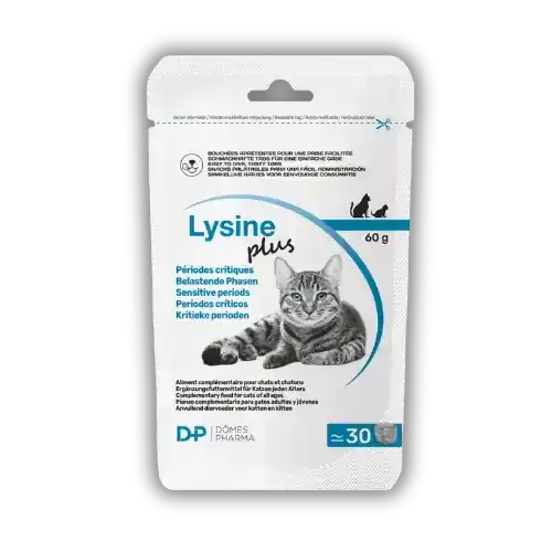 Toppkvalitet | Lysine Plus 30 Snacks × 2 g