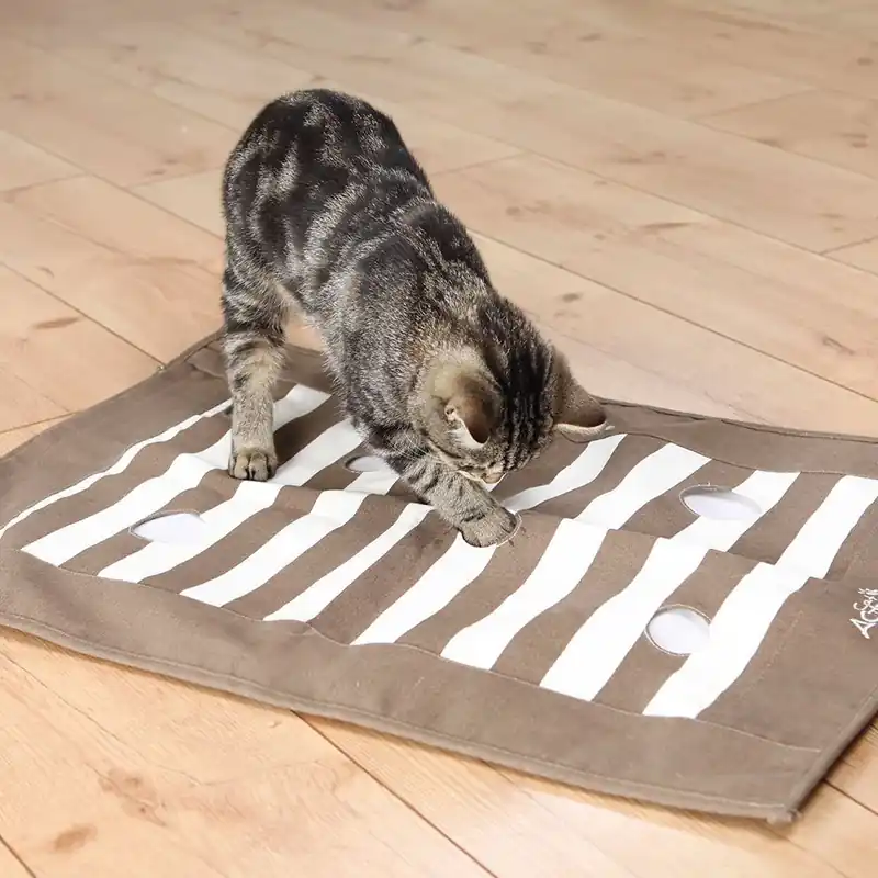Trixie Cat Aktivitetsmatta - Nyhet hos oss