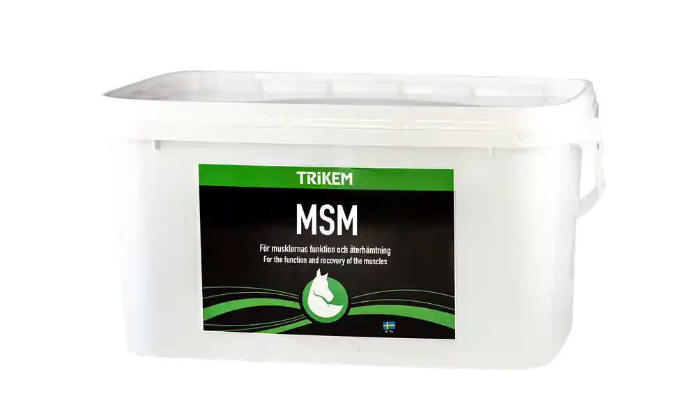 Muskeltillskott Trikem MSM 4000 g | Rea