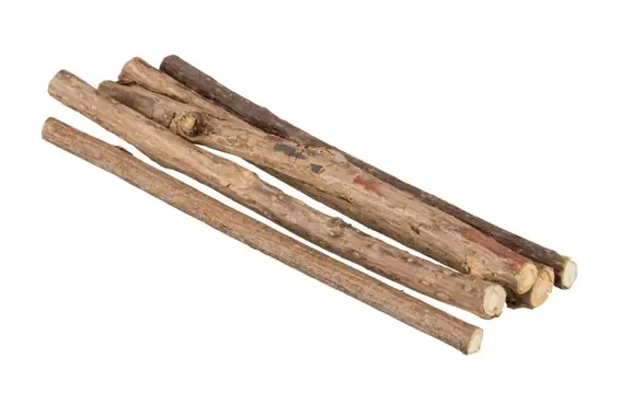Tuggpinnar Trixie Matatabi 10g - Expressfrakt