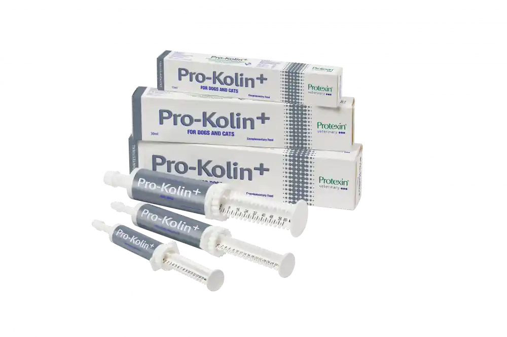 Protexin Pro-Kolin+ 15 ml | Specialpris