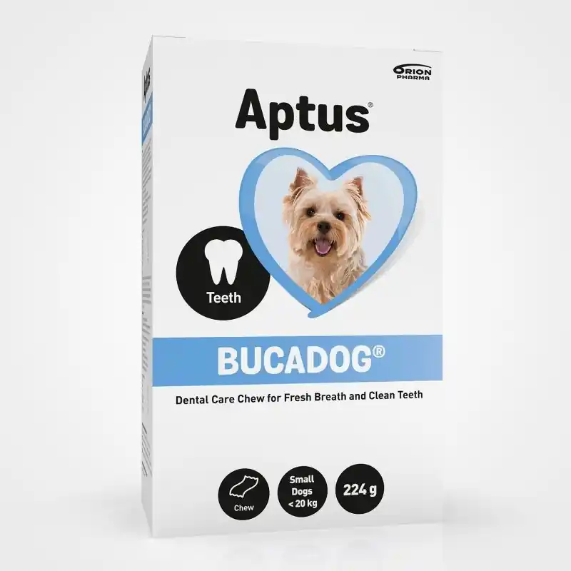 Tandvård Orion Pharma Aptus Bucadog Small 224g - Rea