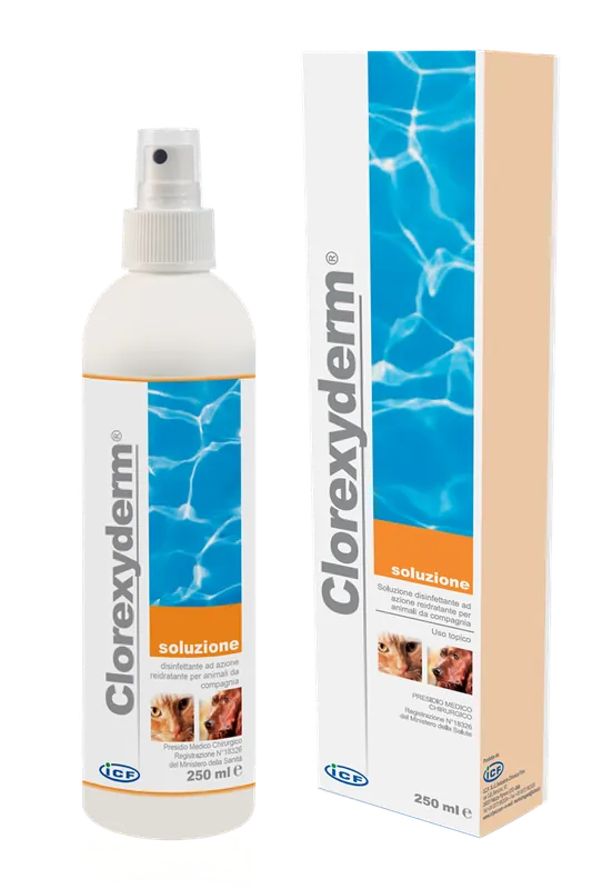 Outlet - Sprejschampo ICF Clorexyderm Solution 200 ml