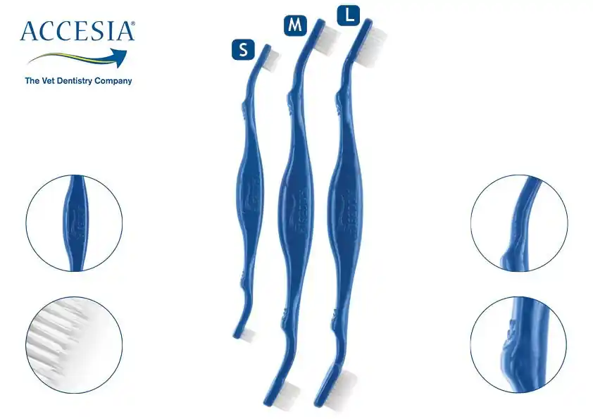 Accesia BizziBrush Tandborste Medium - Efterfrågad