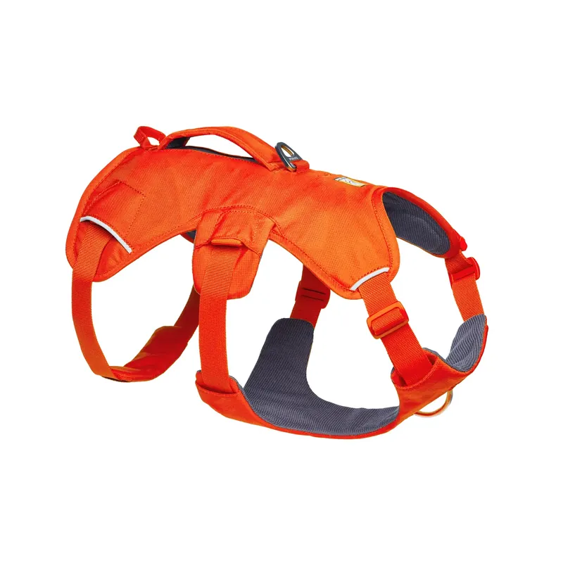 Hundsele Ruffwear Web Master™ - Köp online