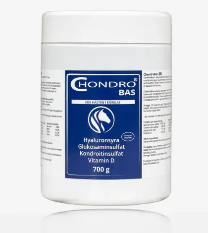 Premium - Chondro Bas, tidigare chondrogen 100PRO