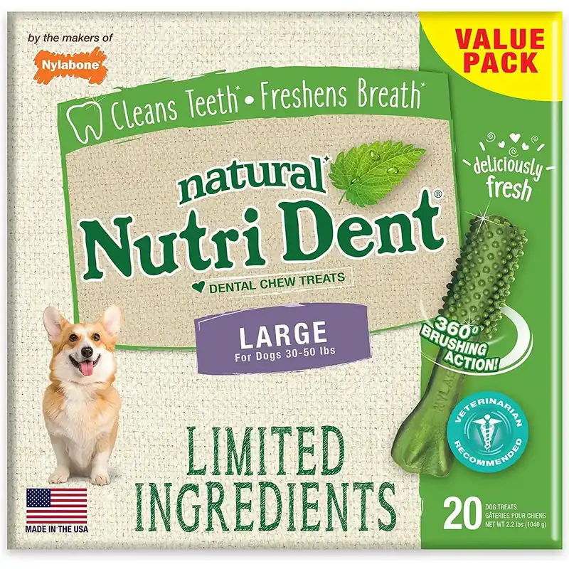 Köp nu - Förpackning med 10 hundleksaker Nylabone Nutri Dent Large TU