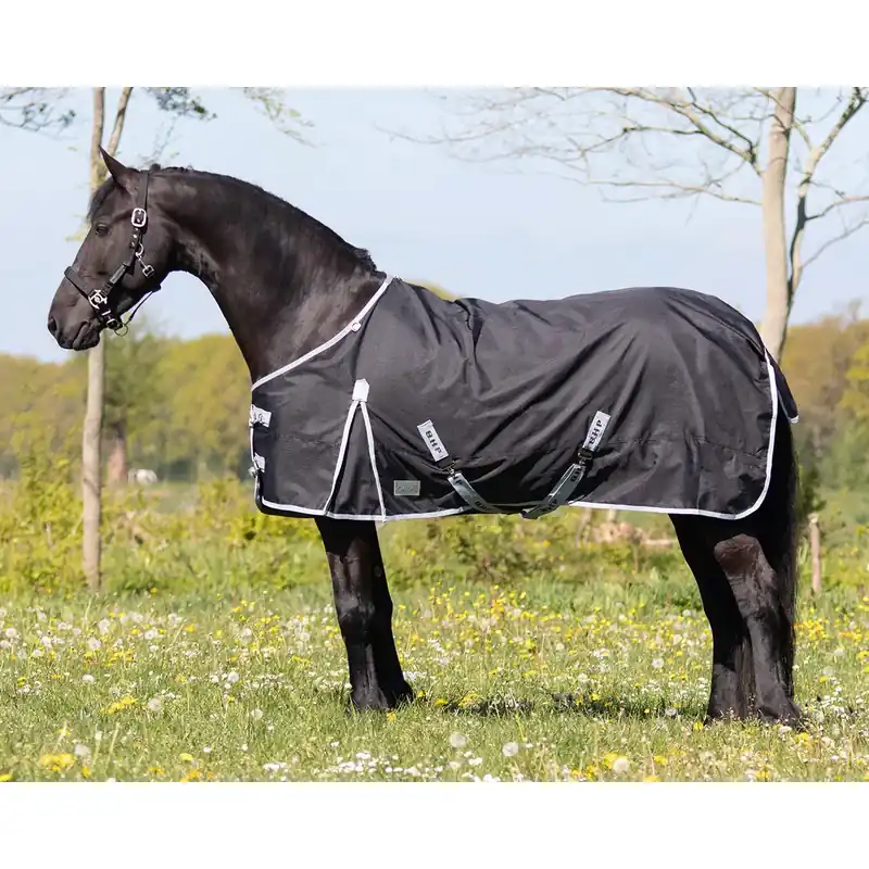 Premium - Utedäck för långhalsade hästar QHP