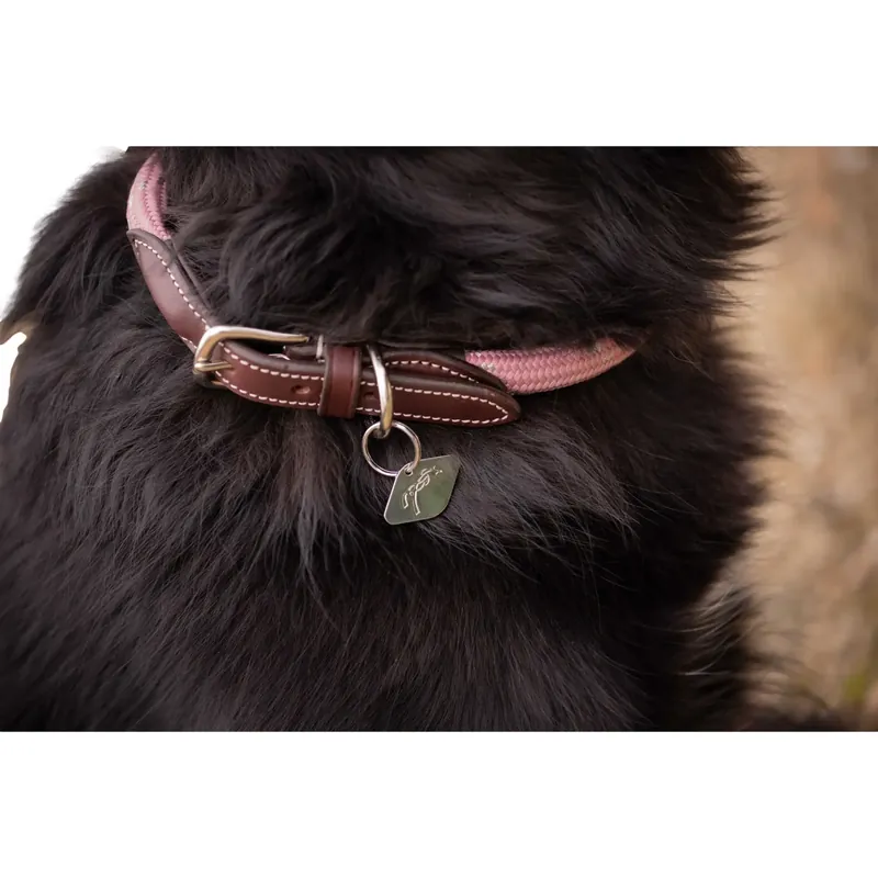 Rabatt - Hundhalsband Pénélope Billie