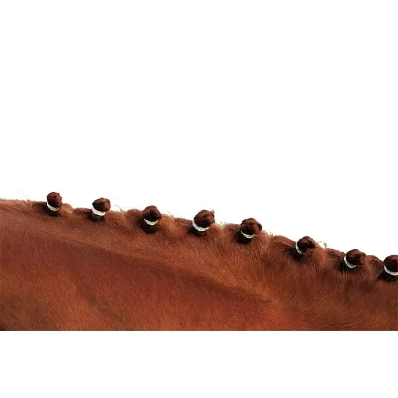 Enkel retur | Gummiband för man Hippotonic