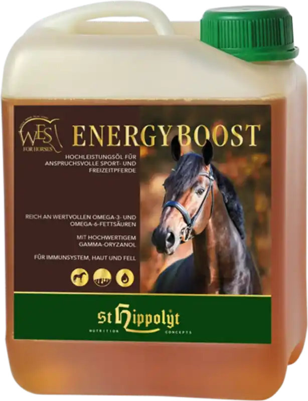 WES Energy Boost 5 l | Klar att skickas