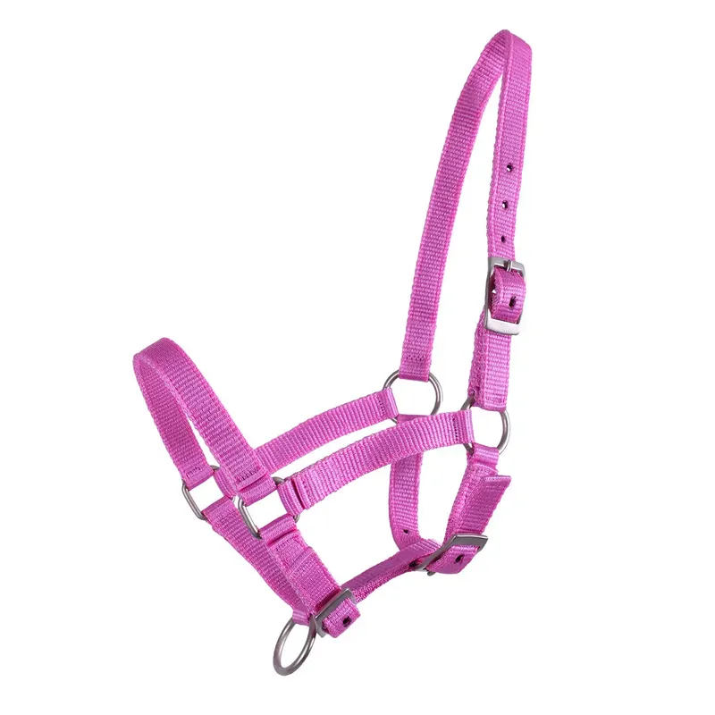 I lager | Halter för föl Q-essentials