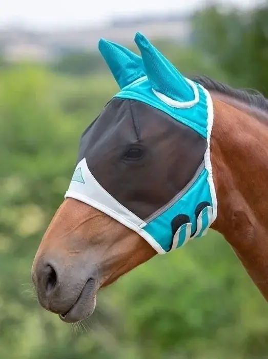 Begränsat antal | Flughuva Med Öron Teal/Grey