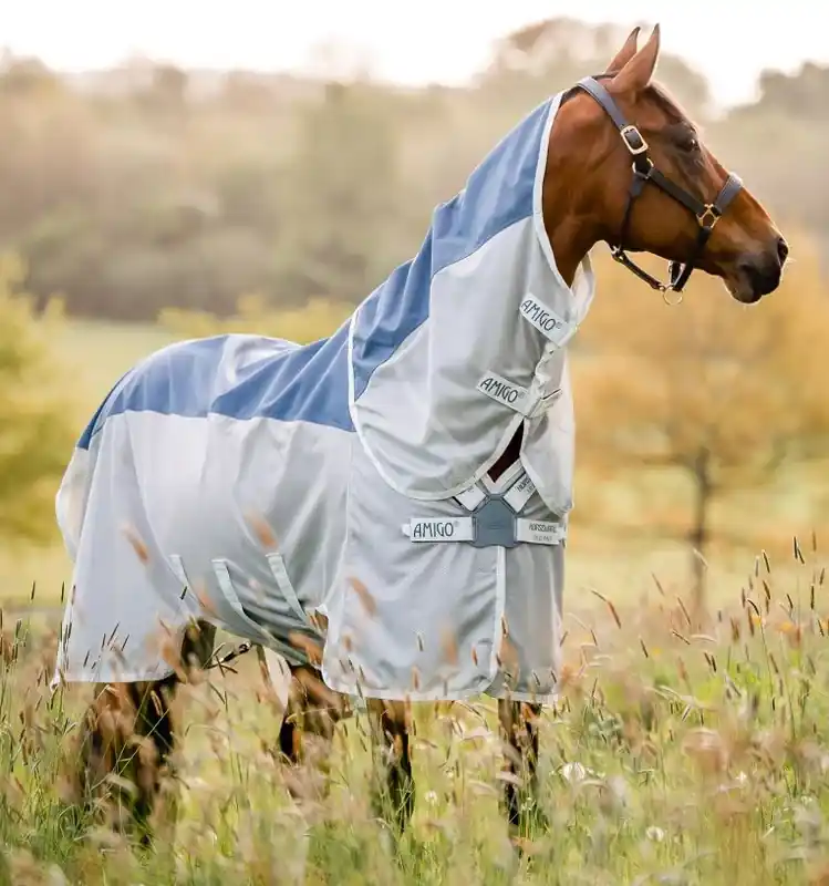 Spara nu - AMIGO AMECO COMBI TEAL