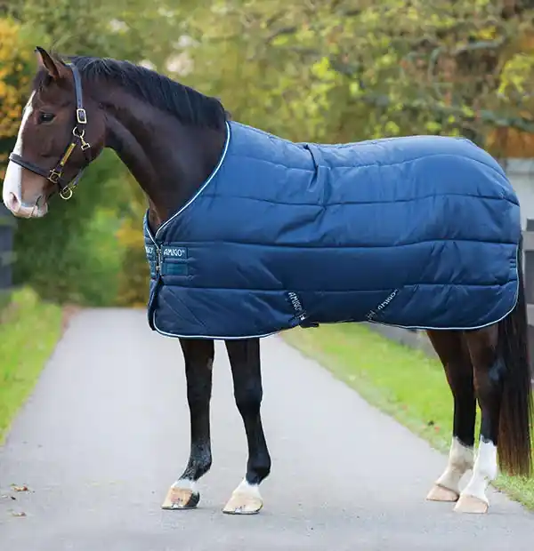 Snabb frakt | AMIGO INSULATOR 100 G NAVY