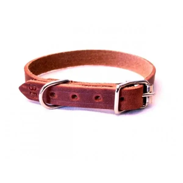 Alac läderhalsband 22 mm - Handla nu