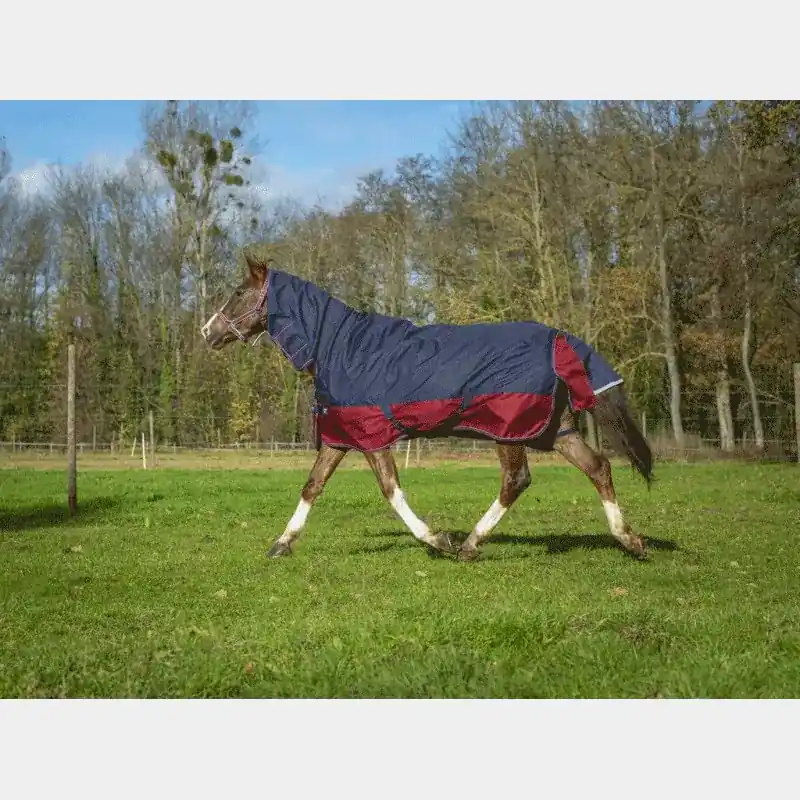 Hästtäcke för utomhusbruk Equithème Tyrex 1200 D Combo 200g | Outlet