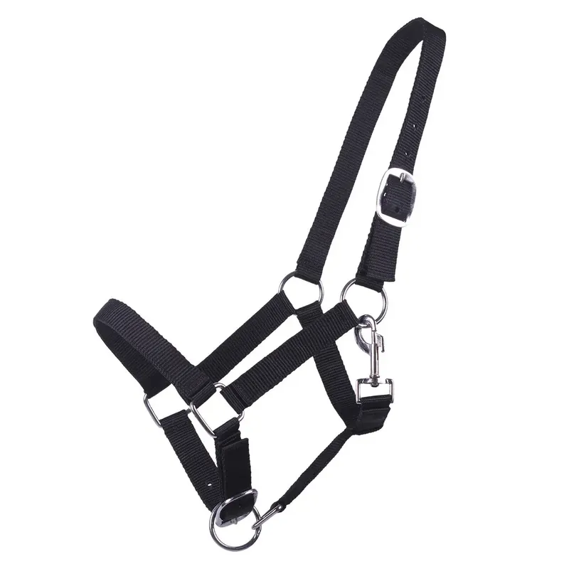Halter för föl Q-essentials Yearling - Prisnedsättning